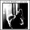 Wide Awake In America